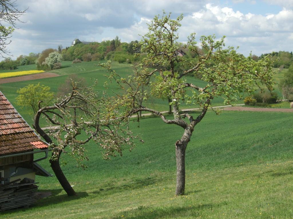 Ferienwohnung Bockelt Stadtlauringen Екстериор снимка